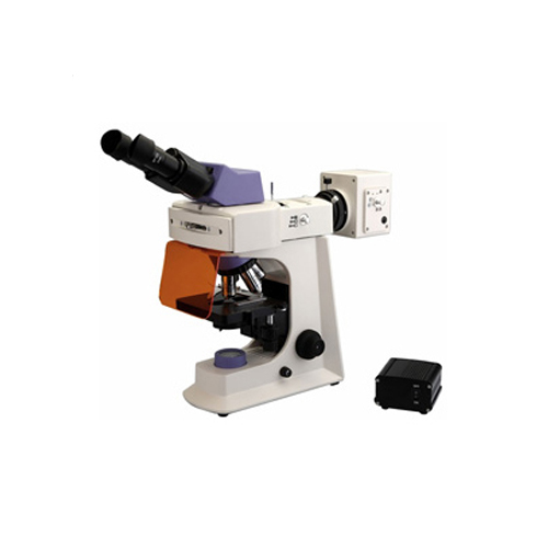 LED Fluorescence Microscope
